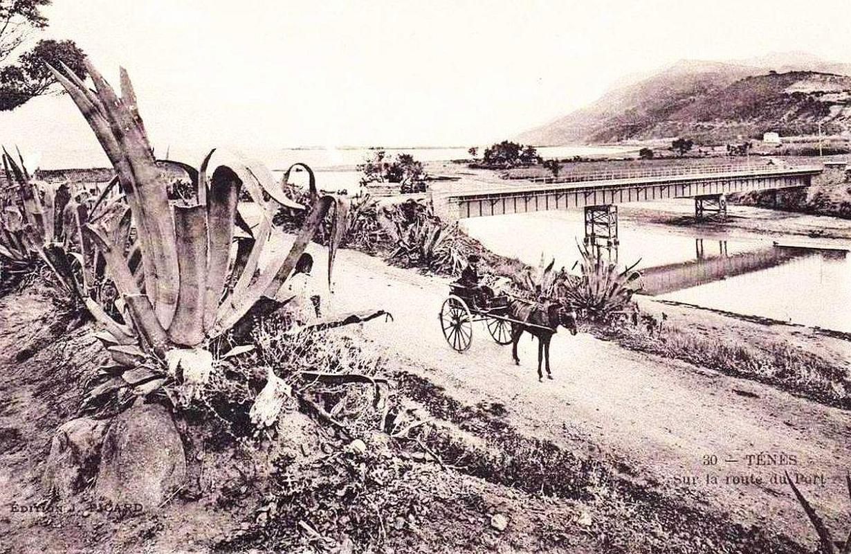 30- Orleansville - Tenes sur la route du port.jpg
